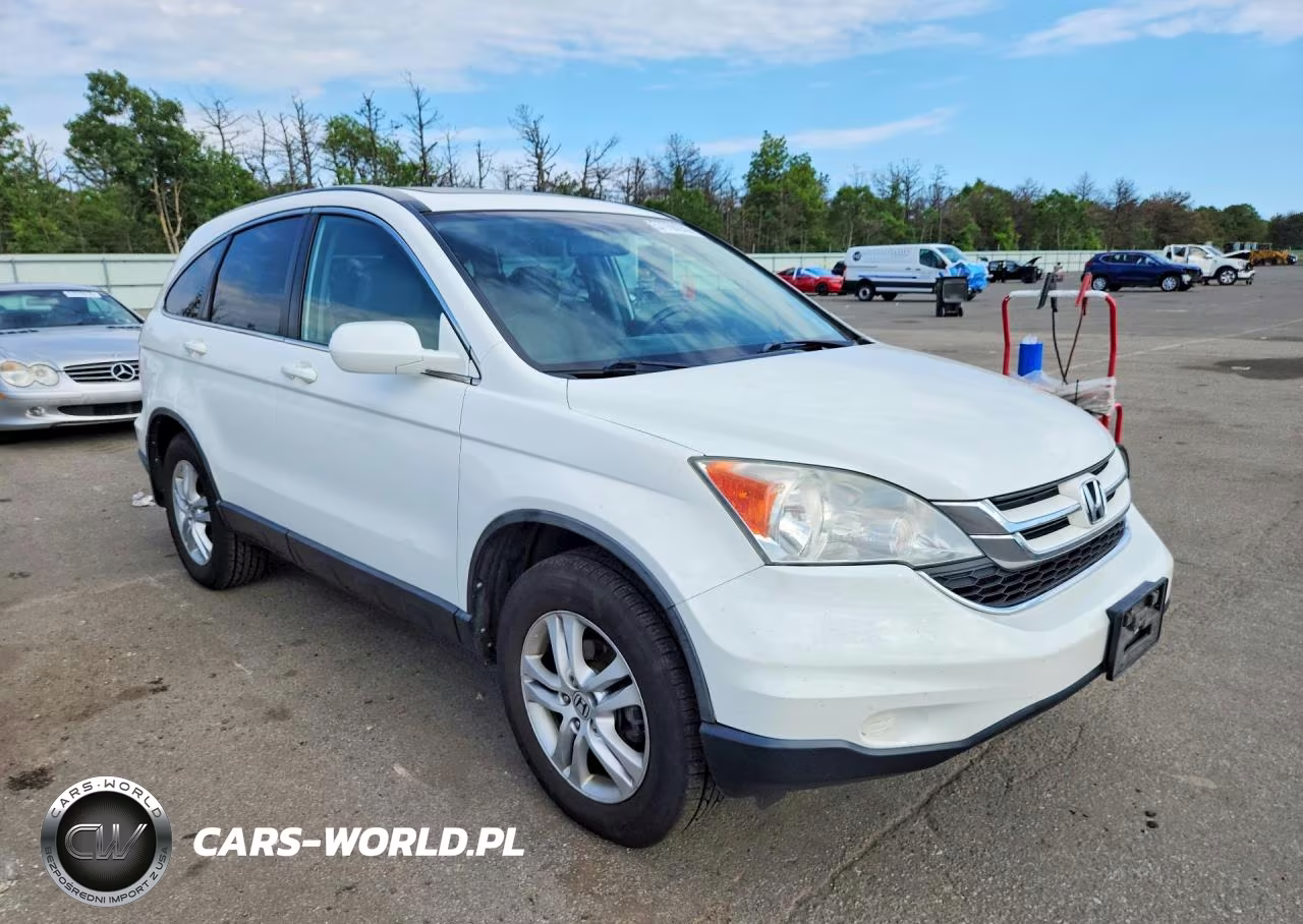 2010 Honda Cr-V Exl VIN:5J6RE4H79AL025166 - 4
