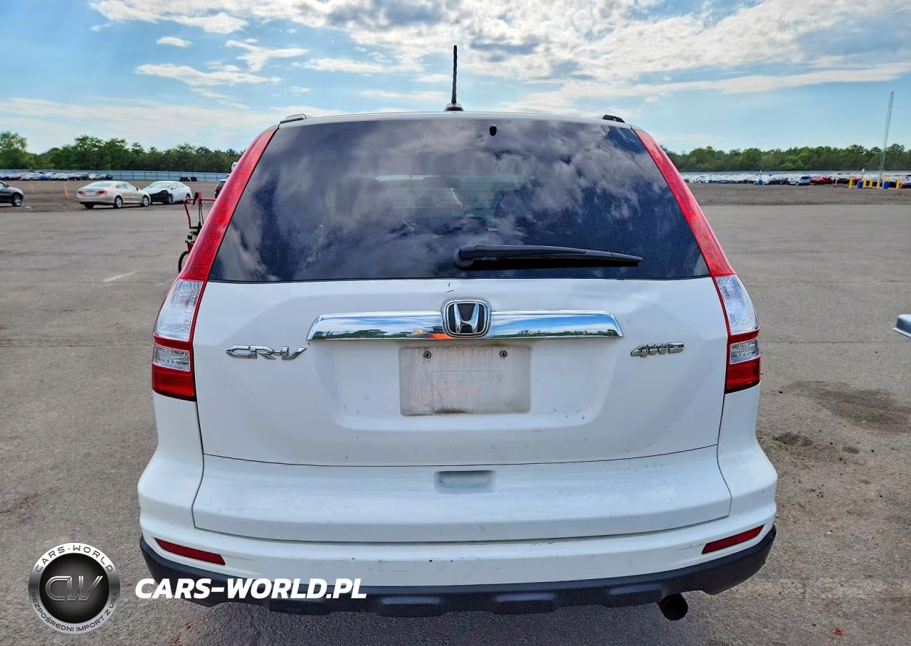 2010 Honda Cr-V Exl VIN:5J6RE4H79AL025166 - 6