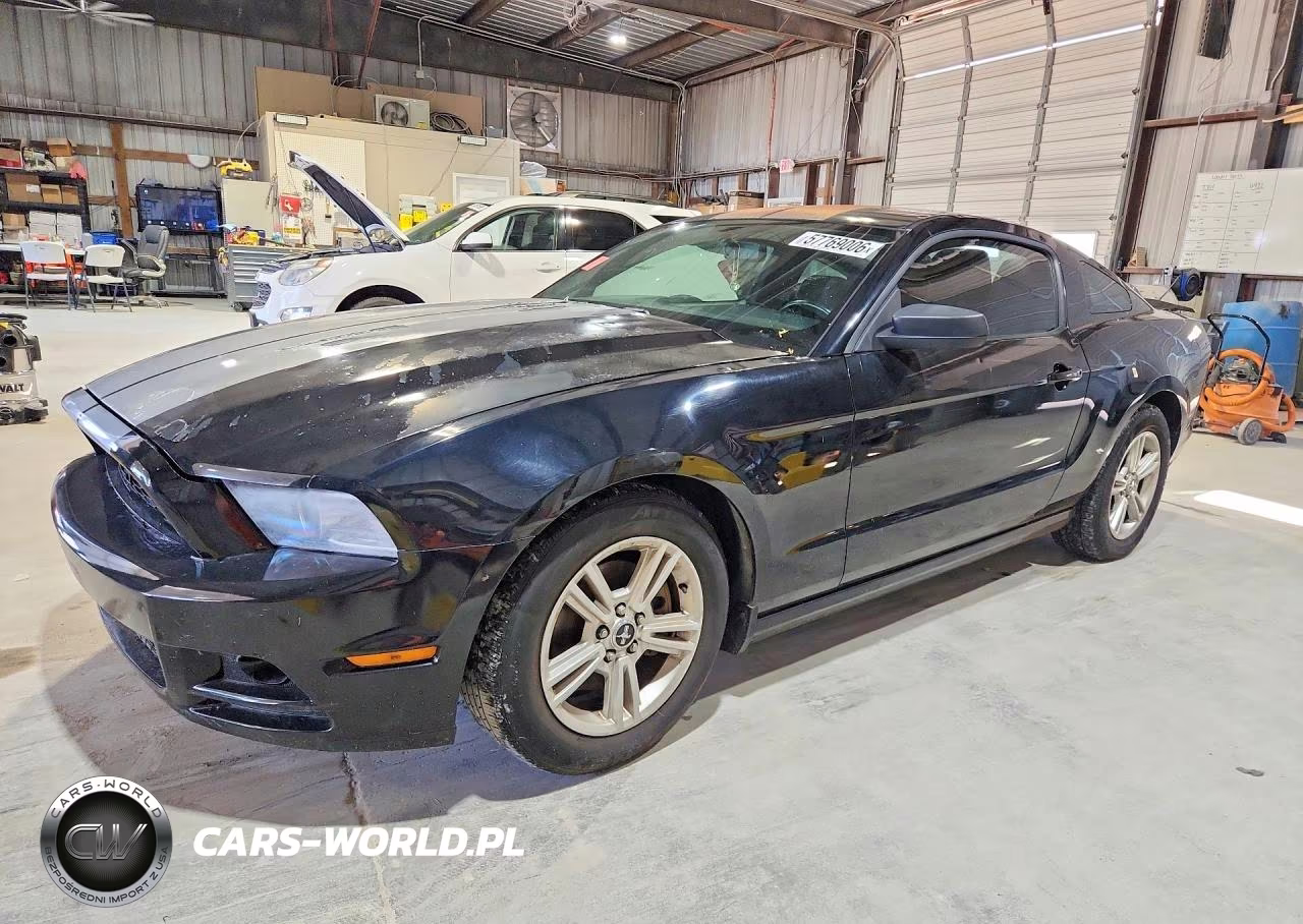 2014 Ford Mustang – zdjęcie 1 z 12