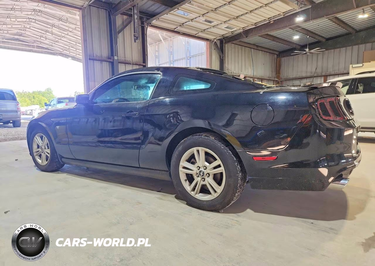 2014 Ford Mustang VIN:1ZVBP8AM0E5282362 - 2