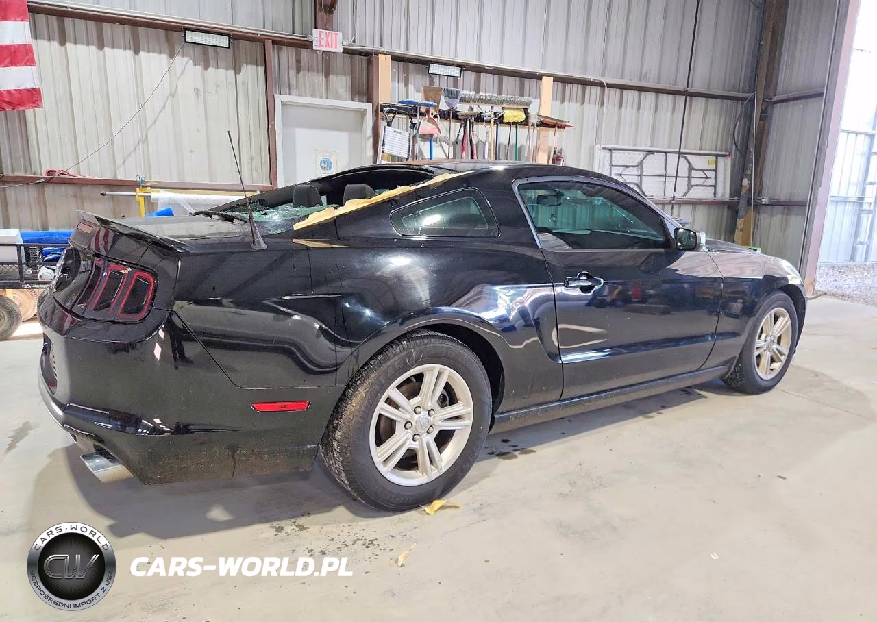 2014 Ford Mustang VIN:1ZVBP8AM0E5282362 - 3