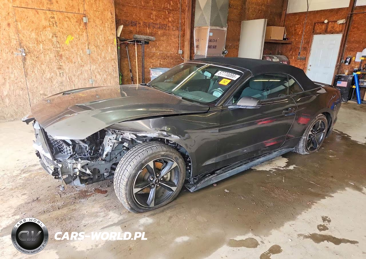 2019 Ford Mustang