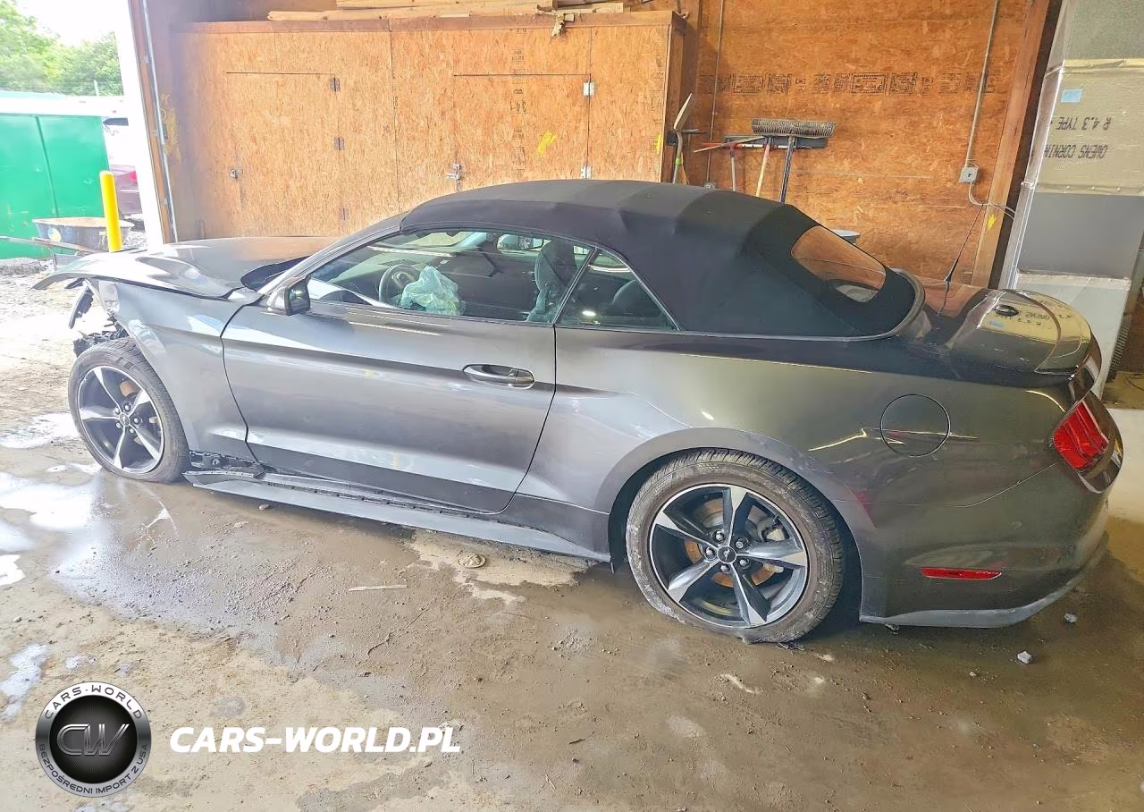 2019 Ford Mustang VIN:1FATP8UH8K5129669 - 2