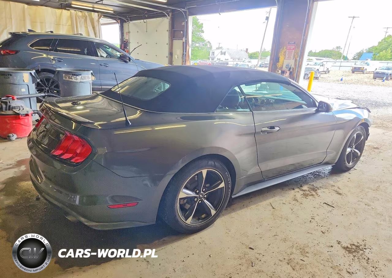 2019 Ford Mustang VIN:1FATP8UH8K5129669 - 3