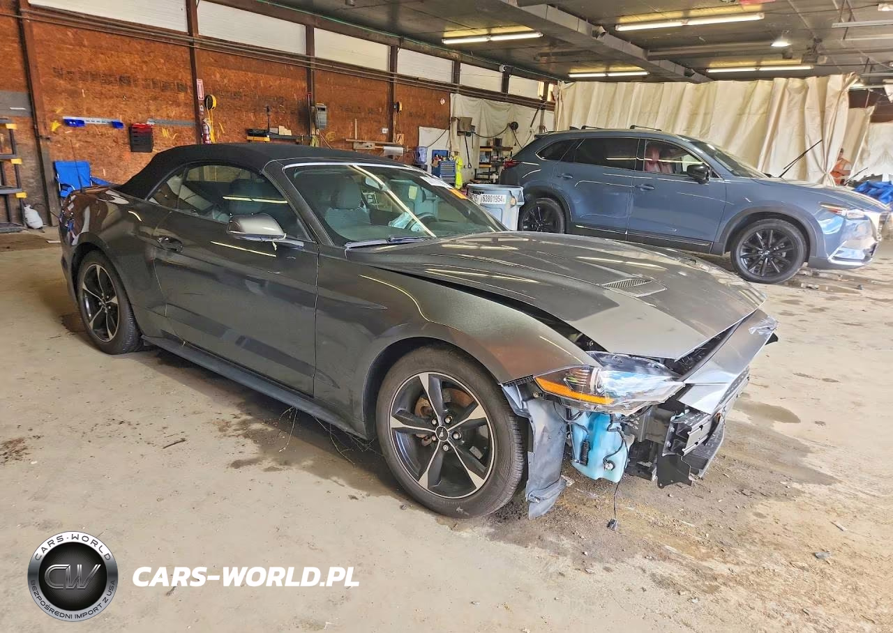 2019 Ford Mustang VIN:1FATP8UH8K5129669 - 4