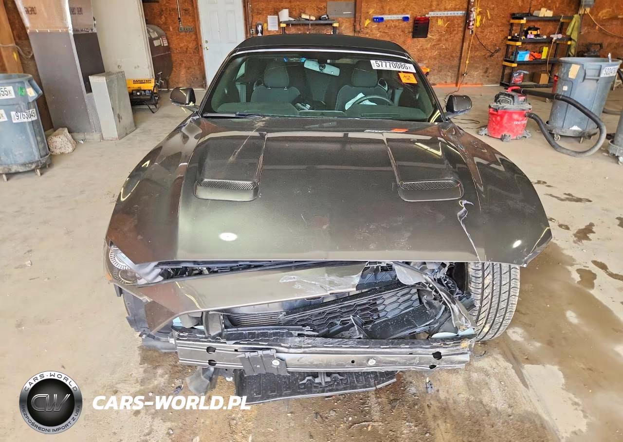 2019 Ford Mustang VIN:1FATP8UH8K5129669 - 5