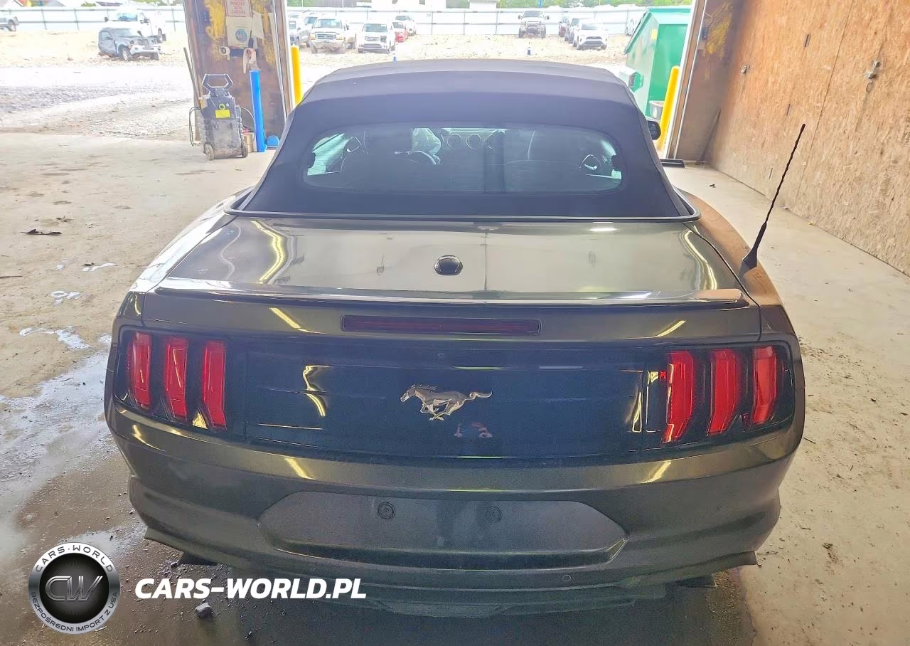 2019 Ford Mustang VIN:1FATP8UH8K5129669 - 6