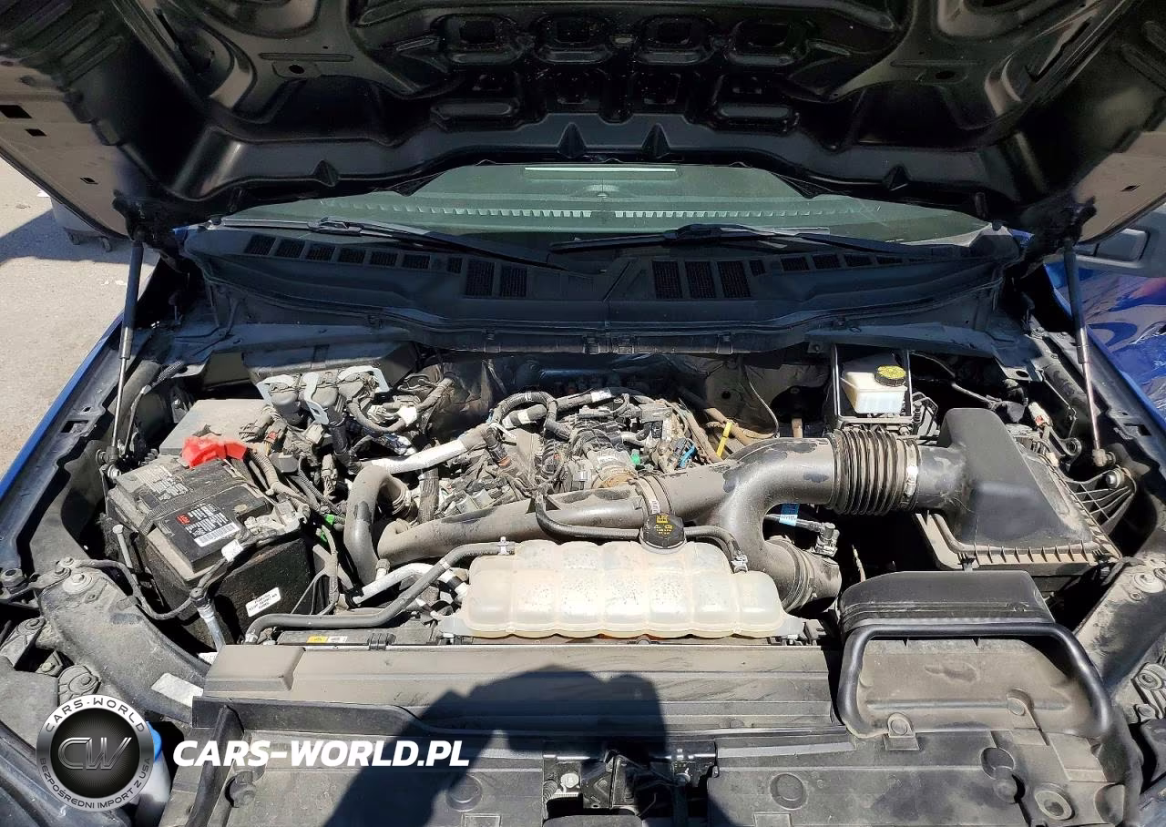 2023 Ford F150 Supercrew VIN:1FTEW1EP1PKD51174 - 11
