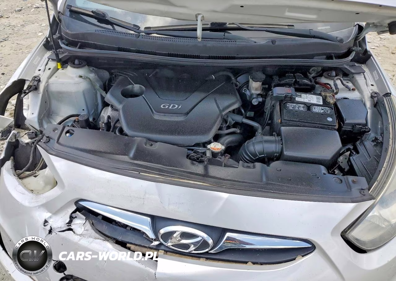 2012 Hyundai Accent Gs VIN:KMHCT5AE8CU034496 - 11
