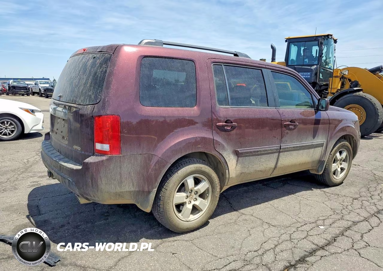 2010 Honda Pilot Exl VIN:5FNYF4H50AB037853 - 3