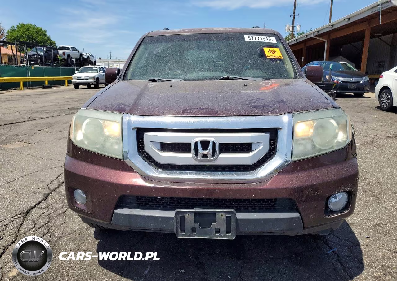 2010 Honda Pilot Exl VIN:5FNYF4H50AB037853 - 5