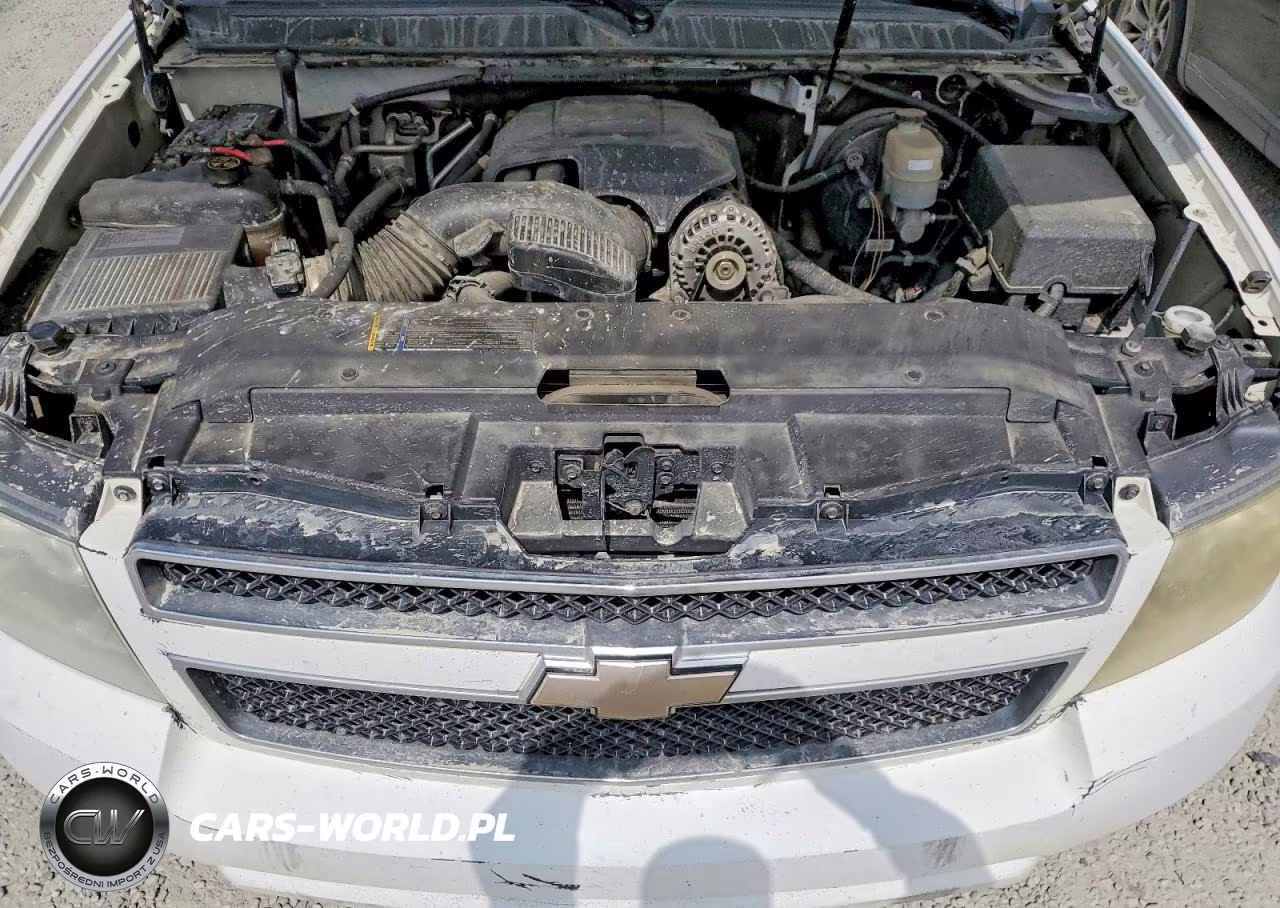 2010 Chevrolet Tahoe C1500 Ls VIN:1GNUCAE07AR104058 - 12