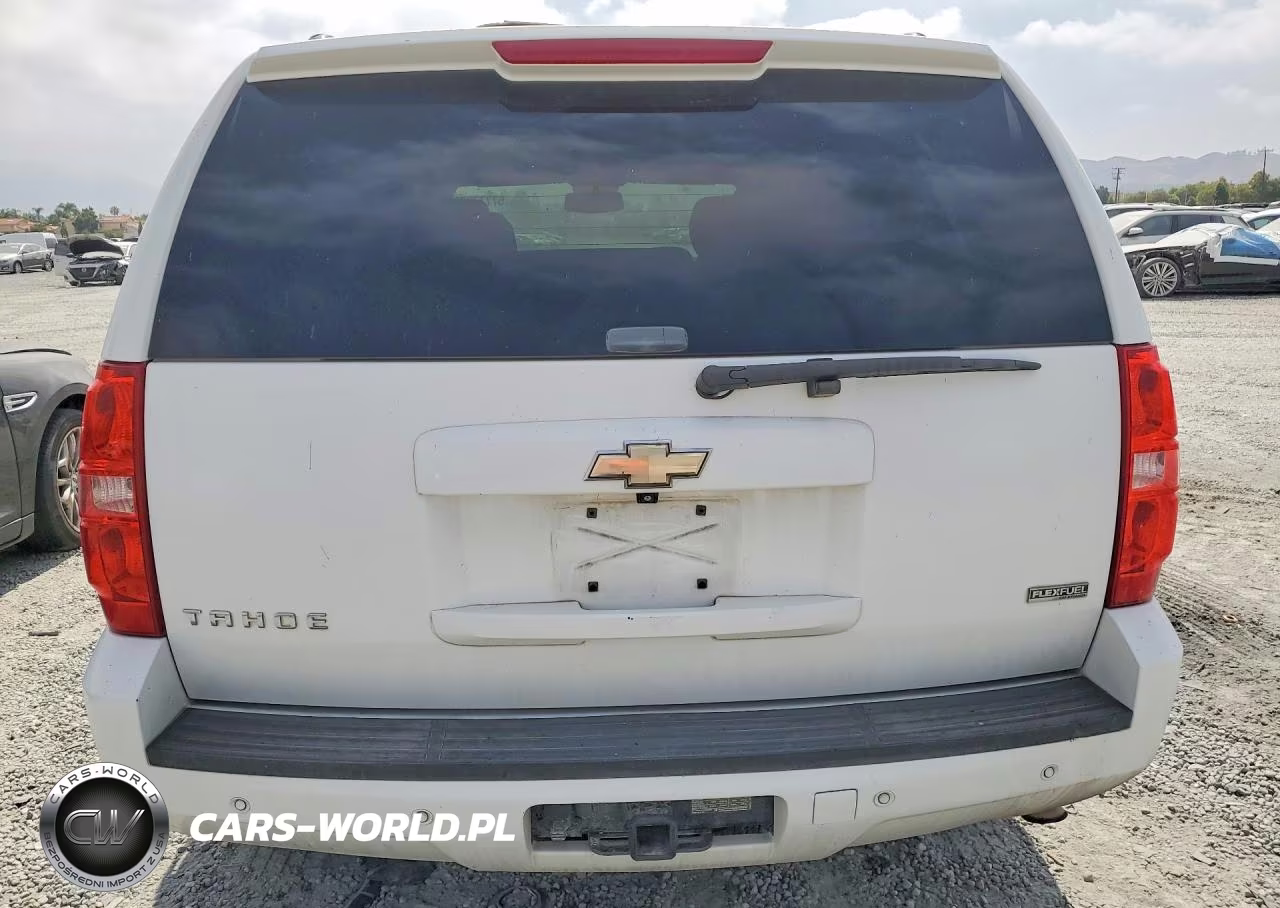 2010 Chevrolet Tahoe C1500 Ls VIN:1GNUCAE07AR104058 - 6
