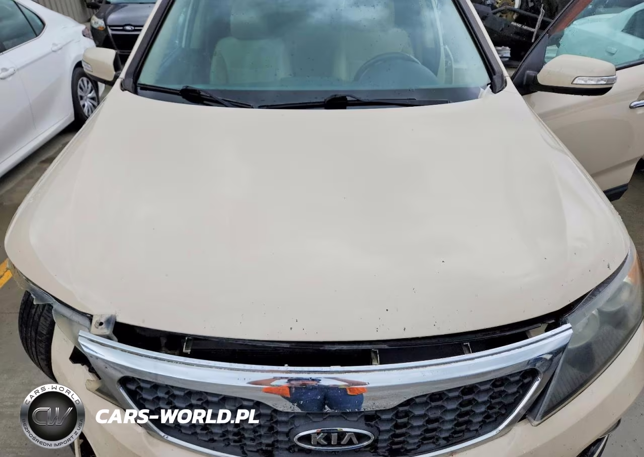 2012 Kia Sorento Ex VIN:5XYKU3A66CG208786 - 12