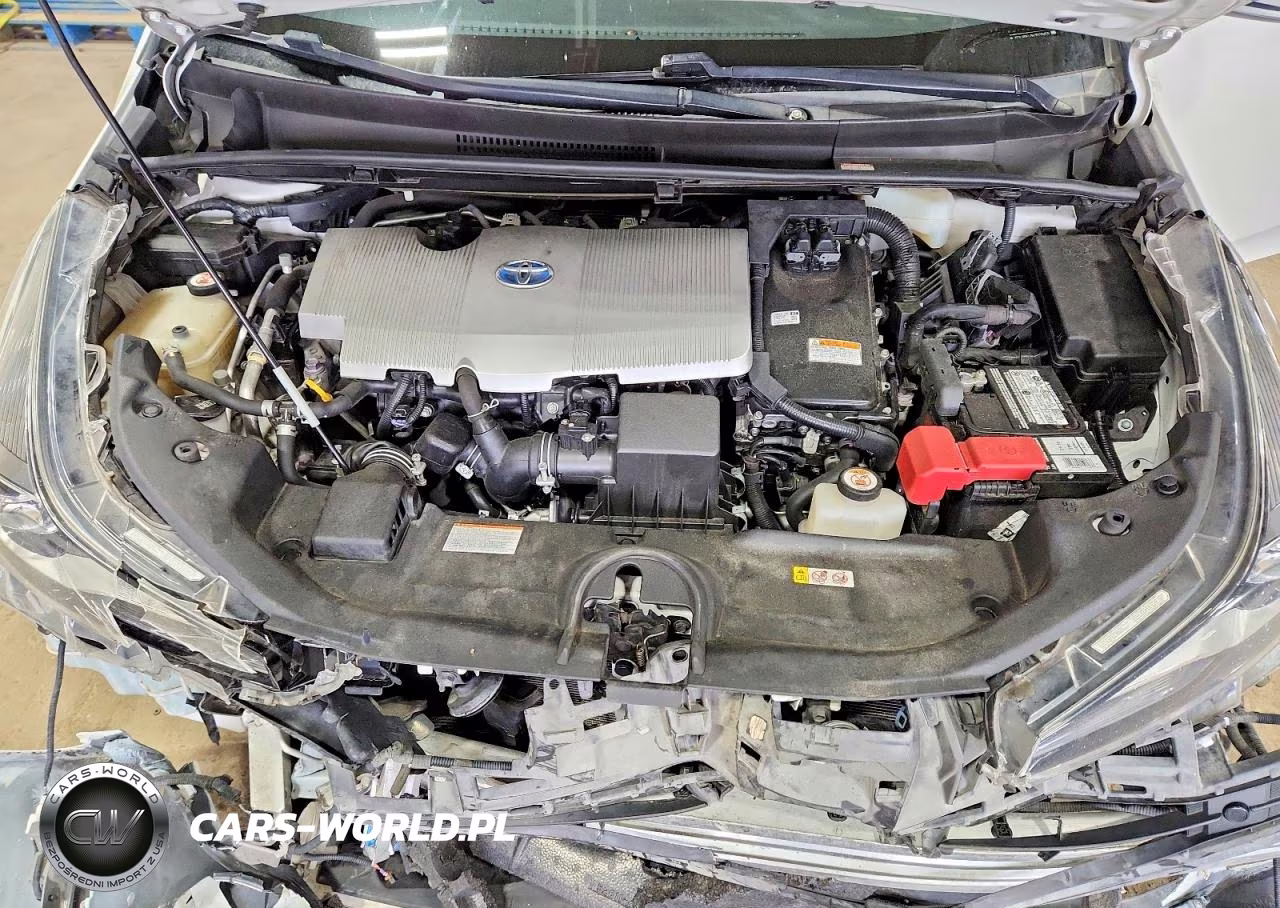 2019 Toyota Prius Le Awd-E VIN:JTDL9RFU3K3009455 - 11