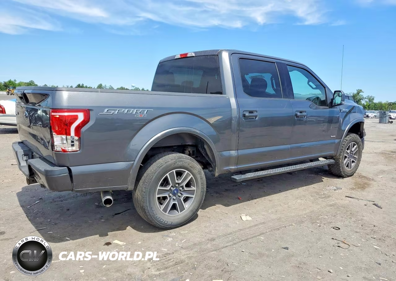 2017 Ford F150 Supercrew VIN:1FTEW1EG9HFB86923 - 3