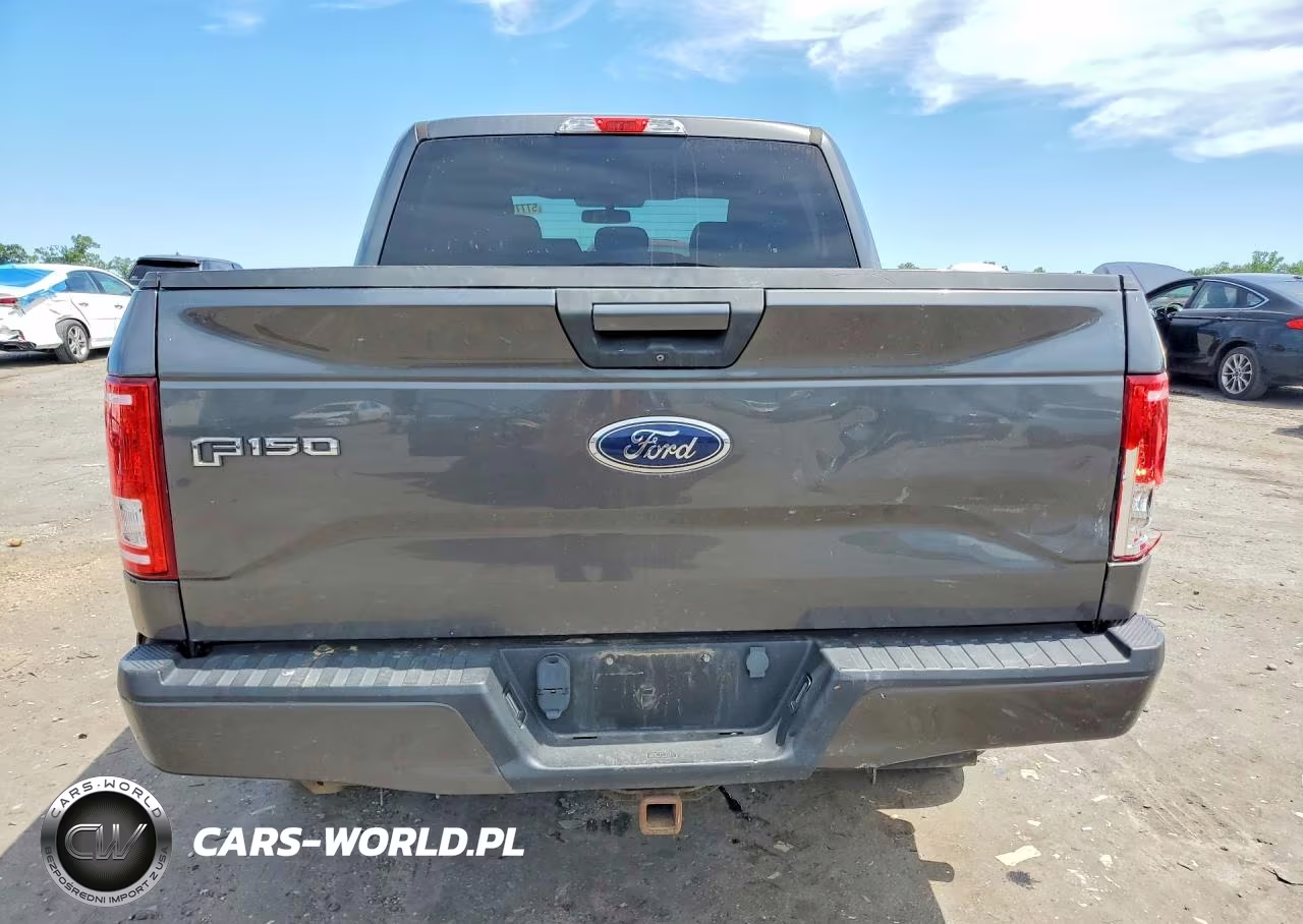 2017 Ford F150 Supercrew VIN:1FTEW1EG9HFB86923 - 6