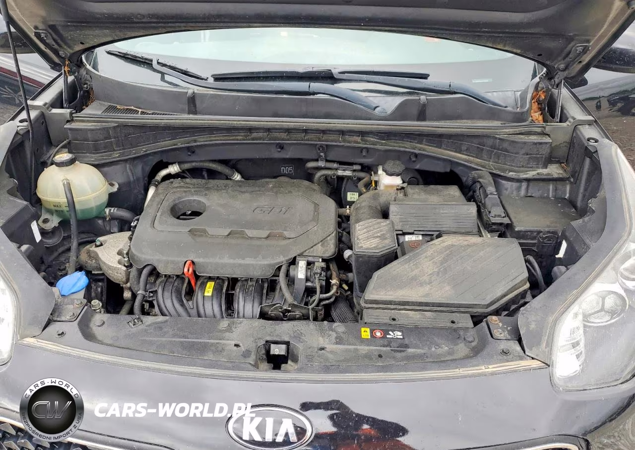 2018 Kia Sportage Lx VIN:KNDPM3ACXJ7395102 - 12