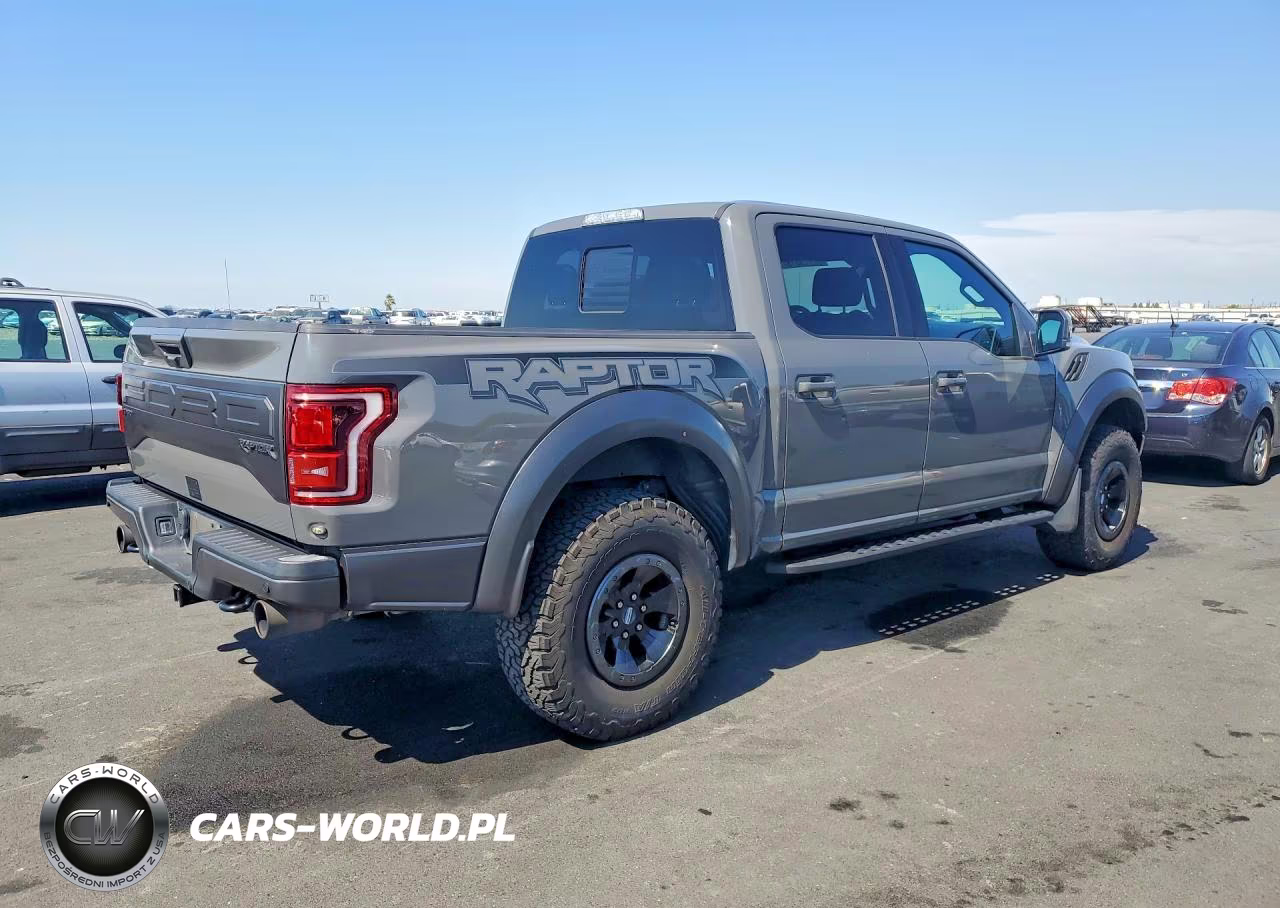 2018 Ford F150 Raptor VIN:1FTFW1RG8JFD12757 - 3