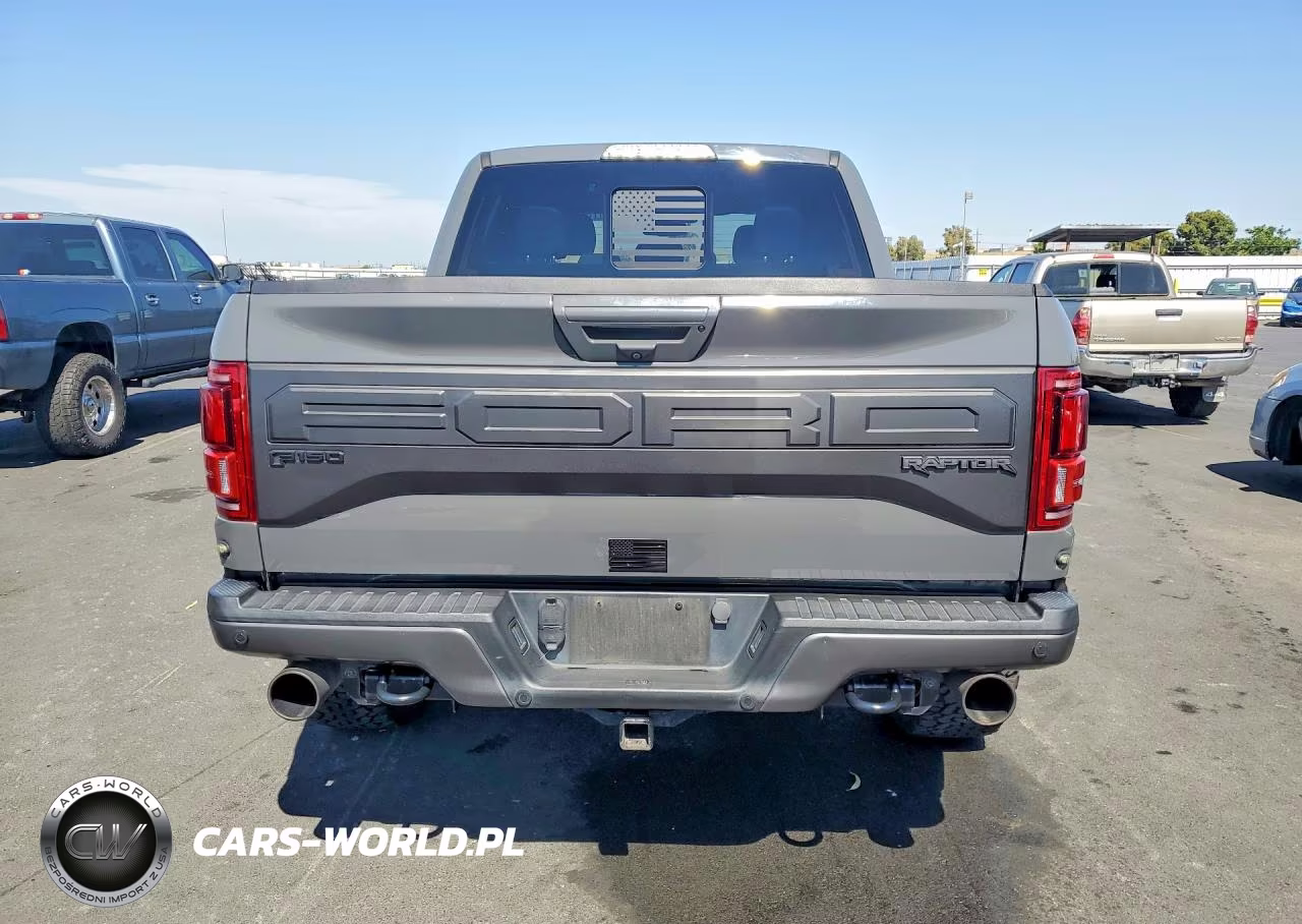 2018 Ford F150 Raptor VIN:1FTFW1RG8JFD12757 - 6