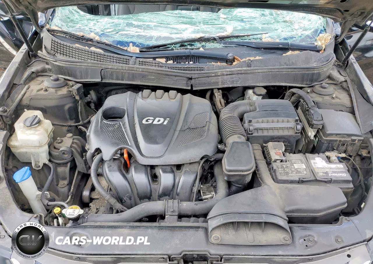 2014 Hyundai Sonata Gls VIN:5NPEB4AC9EH871313 - 11