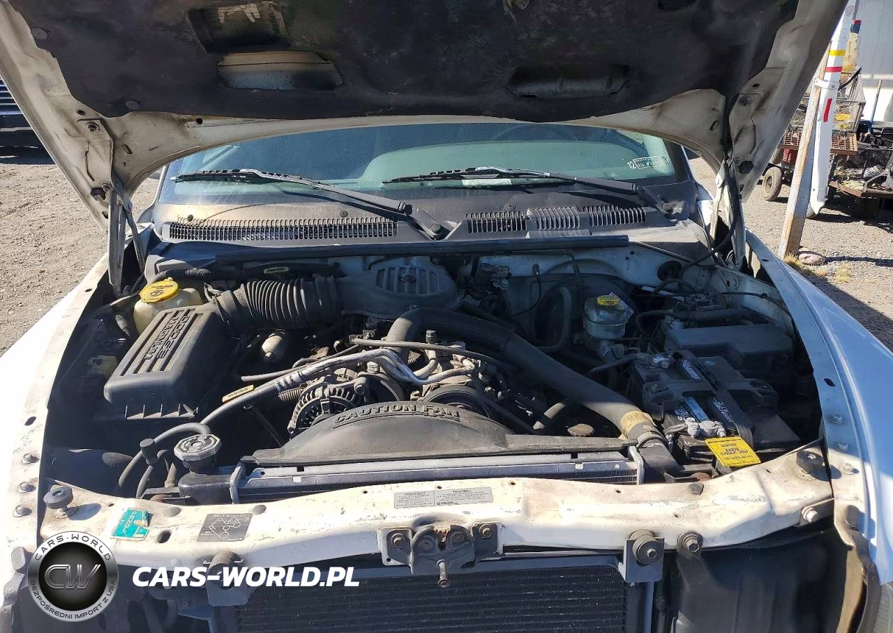 1999 Dodge Durango VIN:1B4HS28Z8XF530782 - 12