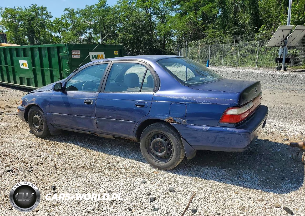1996 Toyota Corolla Dx VIN:2T1BB02EXTC156505 - 2