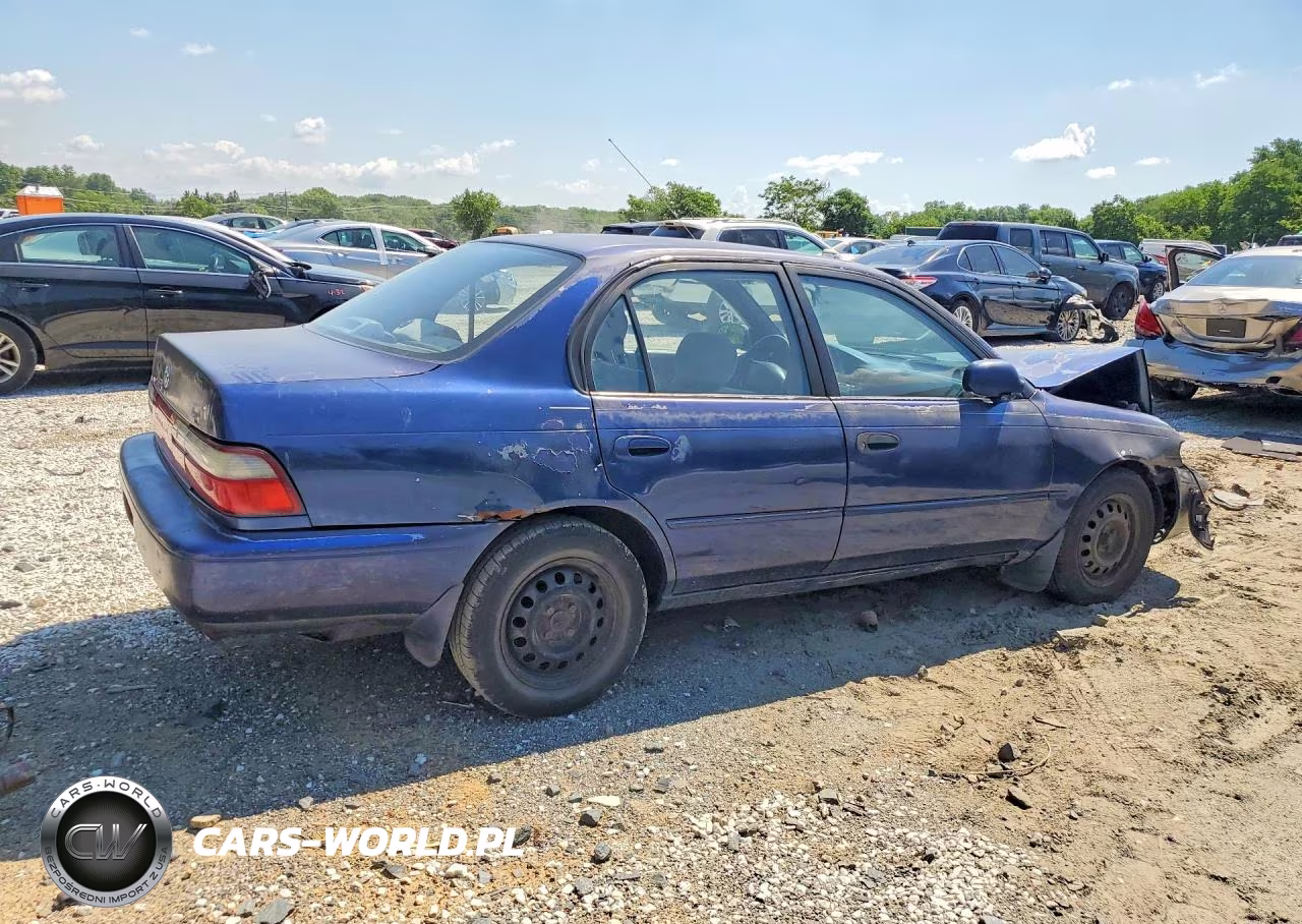 1996 Toyota Corolla Dx VIN:2T1BB02EXTC156505 - 3