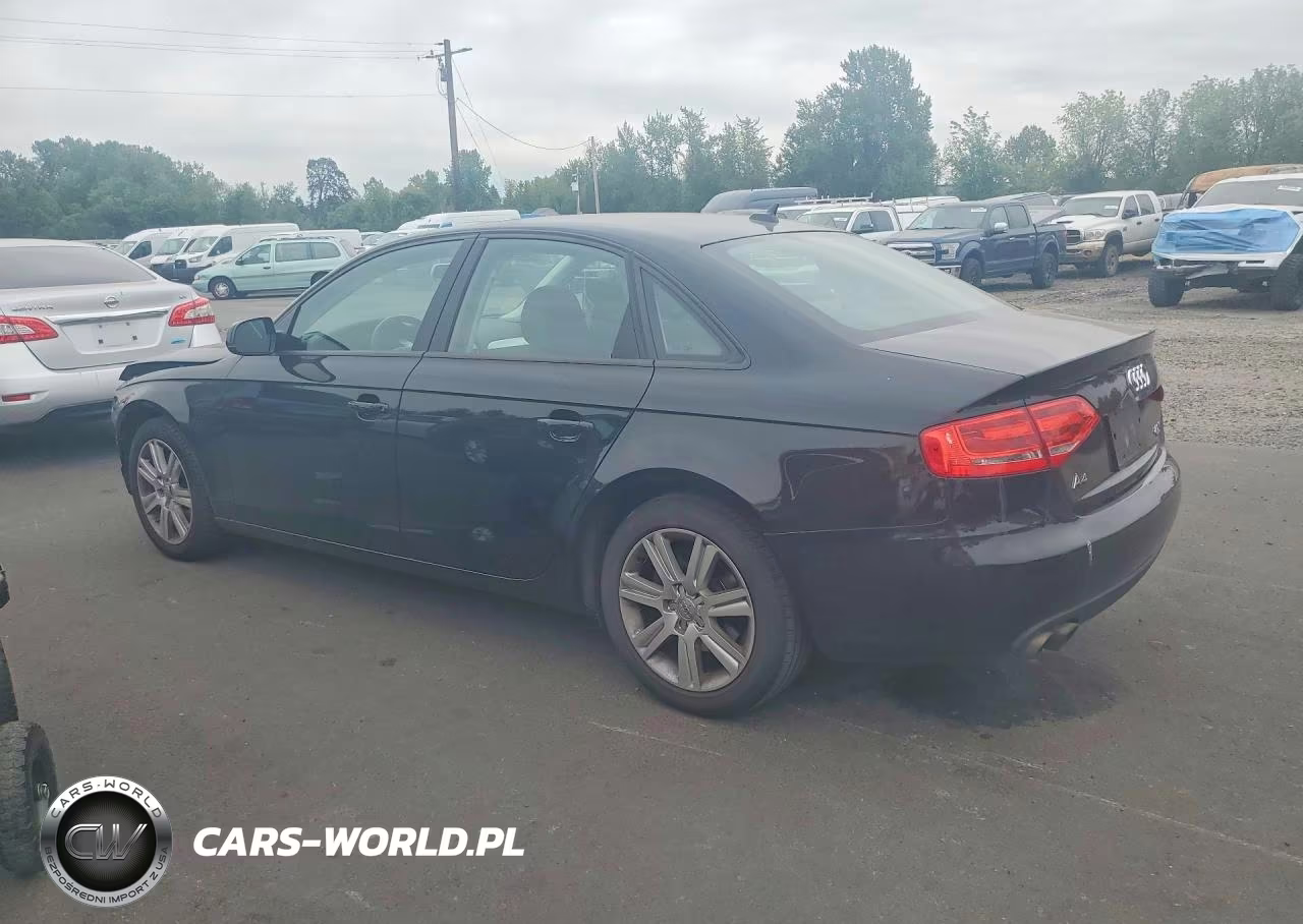 2010 Audi A4 Premium VIN:WAUBFAFL7AN053701 - 2
