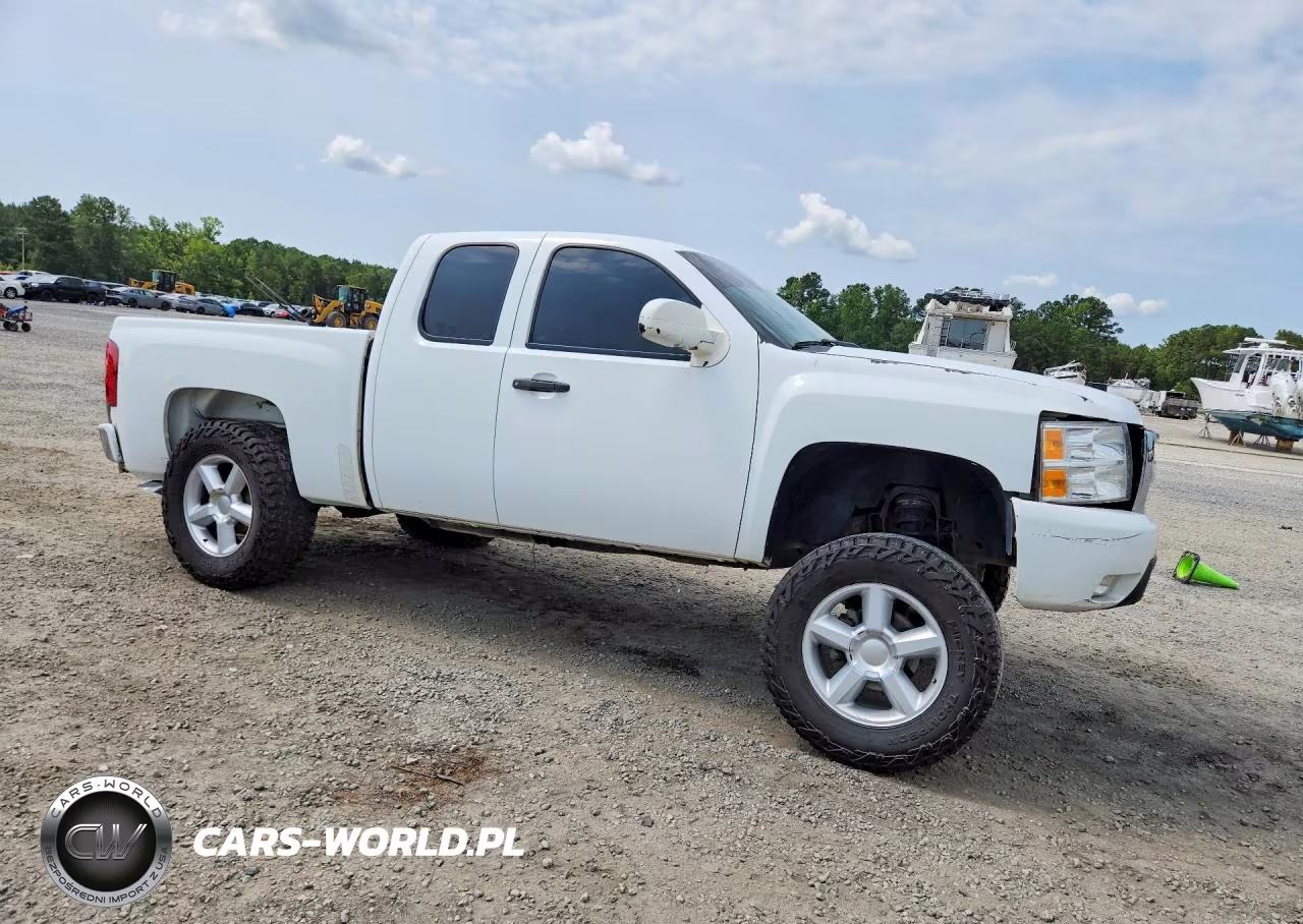 2009 Chevrolet Silverado K1500 VIN:1GCEK19079Z216123 - 4