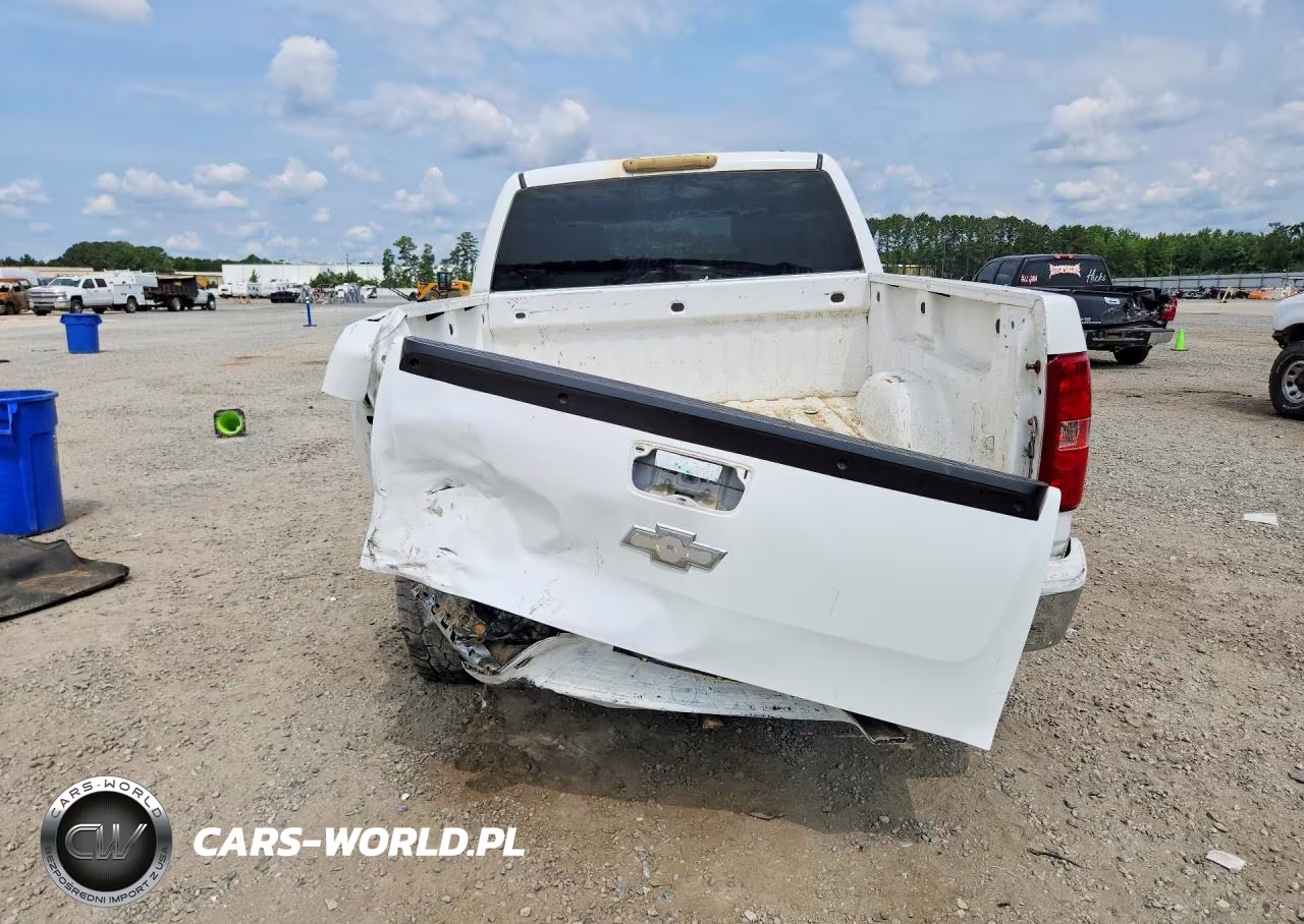 2009 Chevrolet Silverado K1500 VIN:1GCEK19079Z216123 - 6