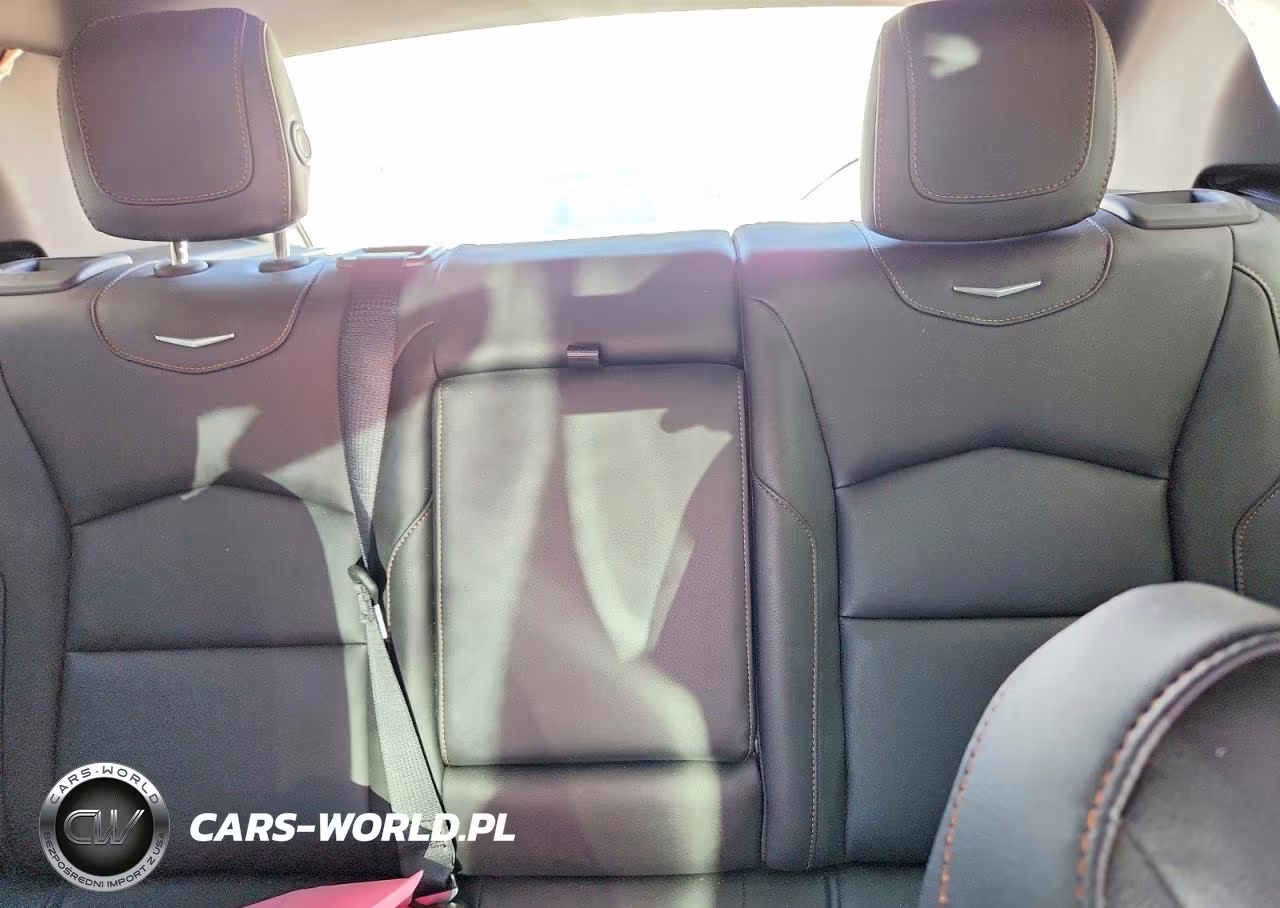 2020 Cadillac Xt4 Sport VIN:1GYFZER46LF011292 - 10