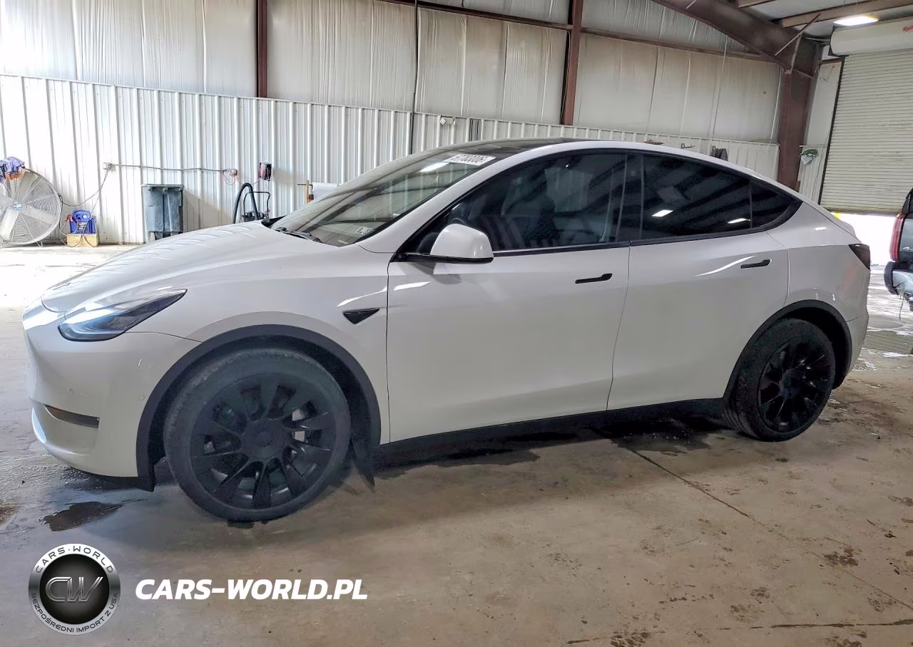 2020 Tesla Model Y