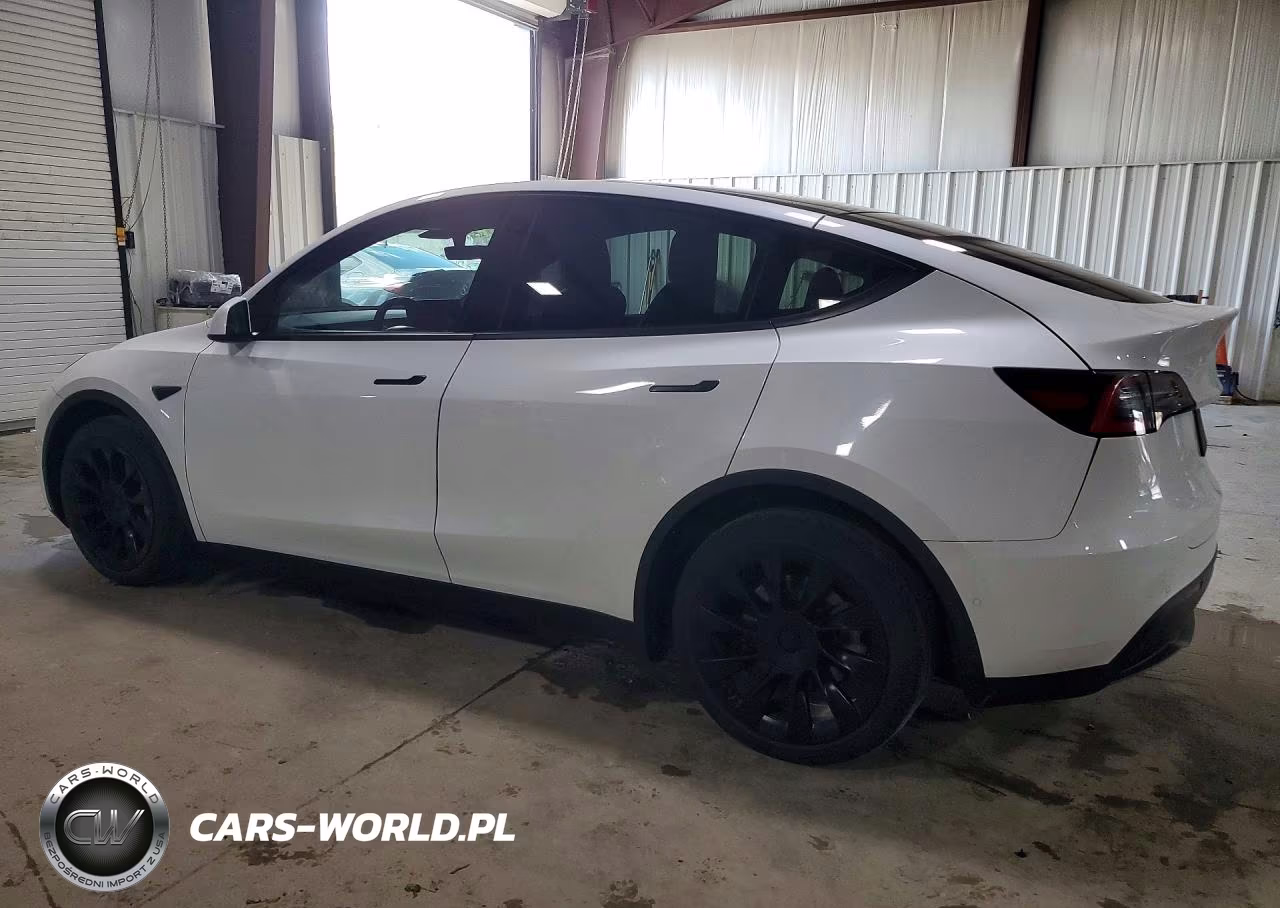 2020 Tesla Model Y VIN:5YJYGDEE8LF041489 - 2