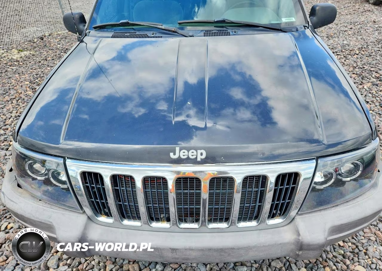 1999 Jeep Grand Cherokee Sport VIN:1J4GW58S6XC587386 - 11