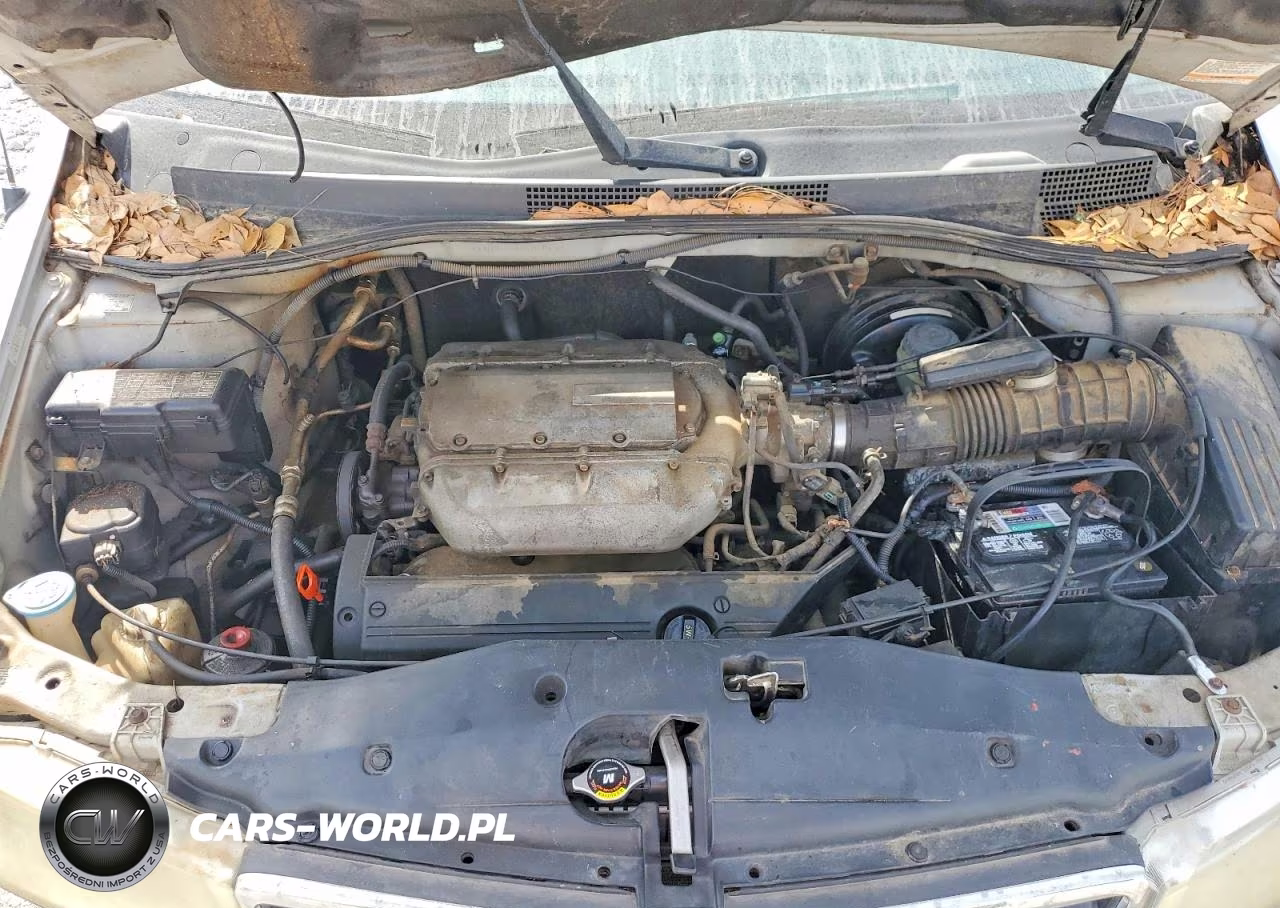 2003 Honda Odyssey Lx VIN:5FNRL18563B119732 - 12