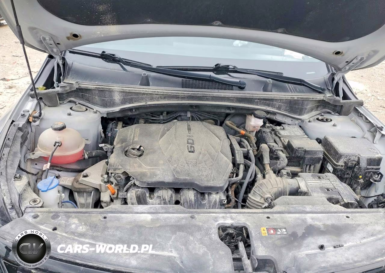 2023 Kia Sportage X-Pro Prestige VIN:5XYK7CAF3PG125877 - 12
