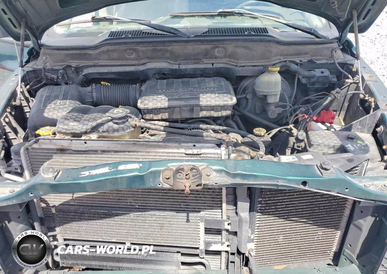 2002 Dodge Ram 1500 VIN:1D7HU16N22J199605 - 11