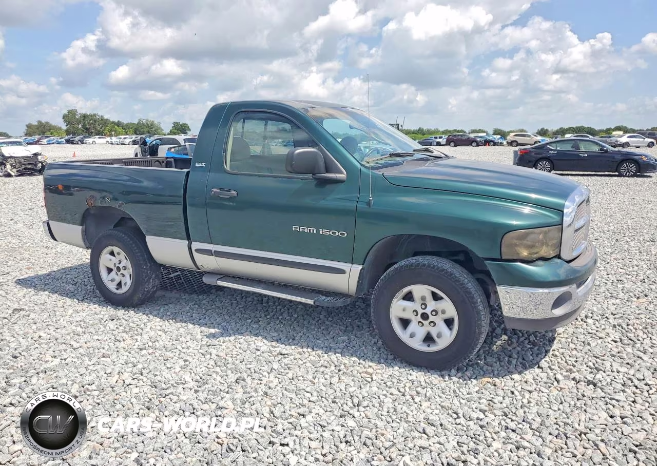 2002 Dodge Ram 1500 VIN:1D7HU16N22J199605 - 4
