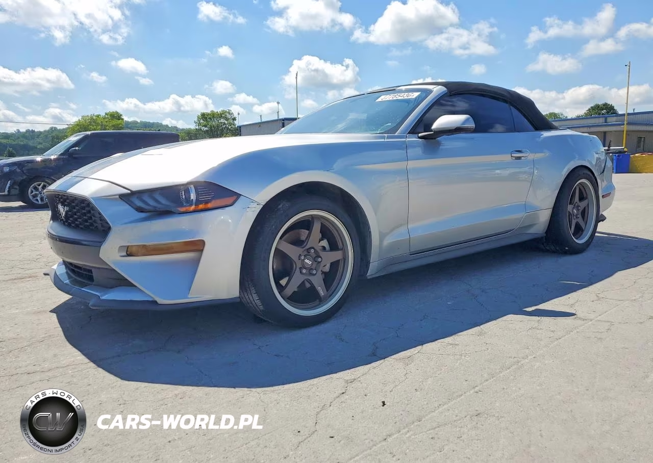 2019 Ford Mustang