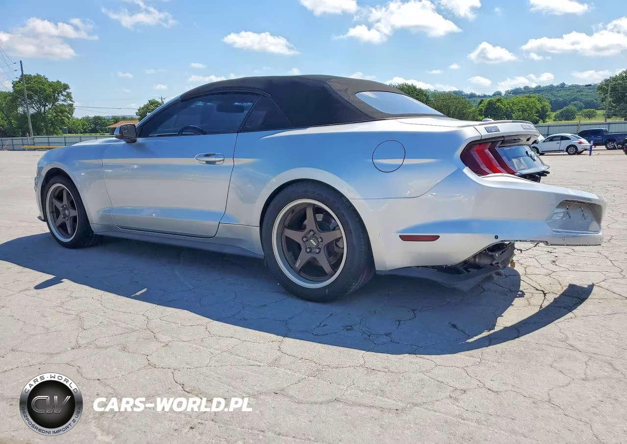2019 Ford Mustang VIN:1FATP8UH1K5170029 - 2