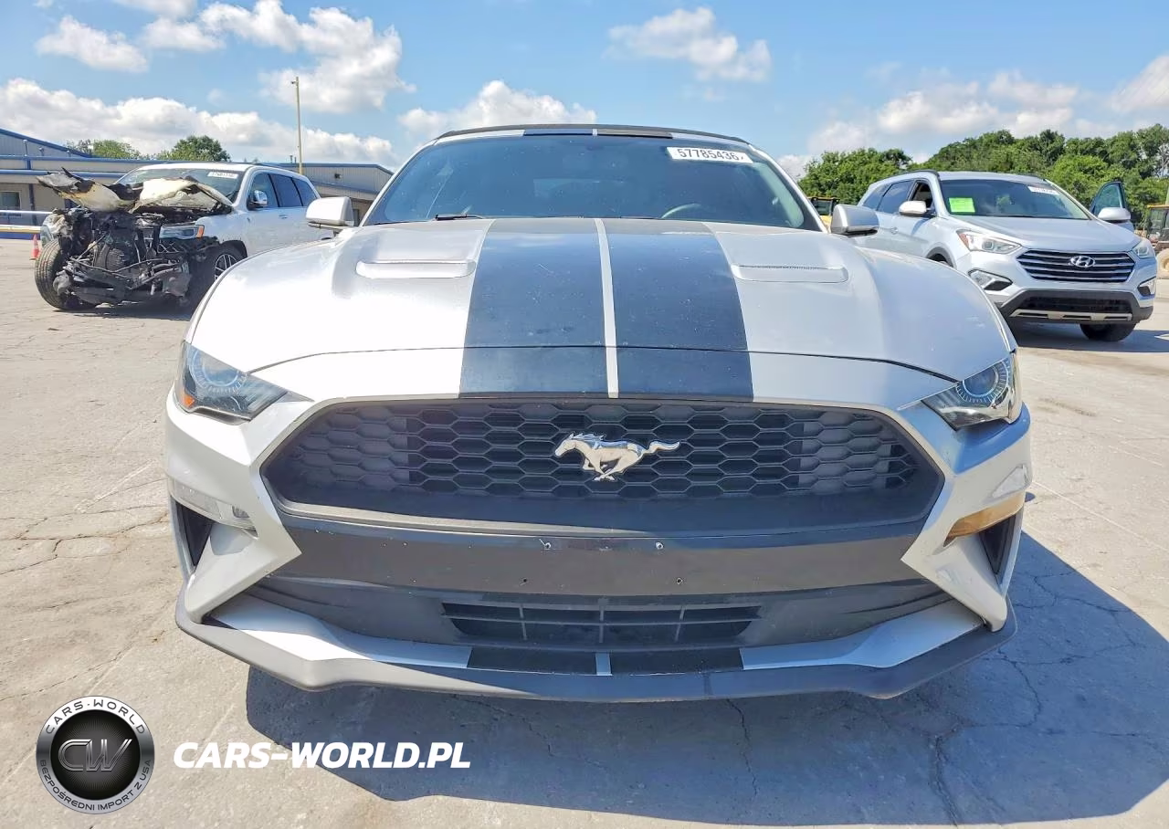 2019 Ford Mustang VIN:1FATP8UH1K5170029 - 5