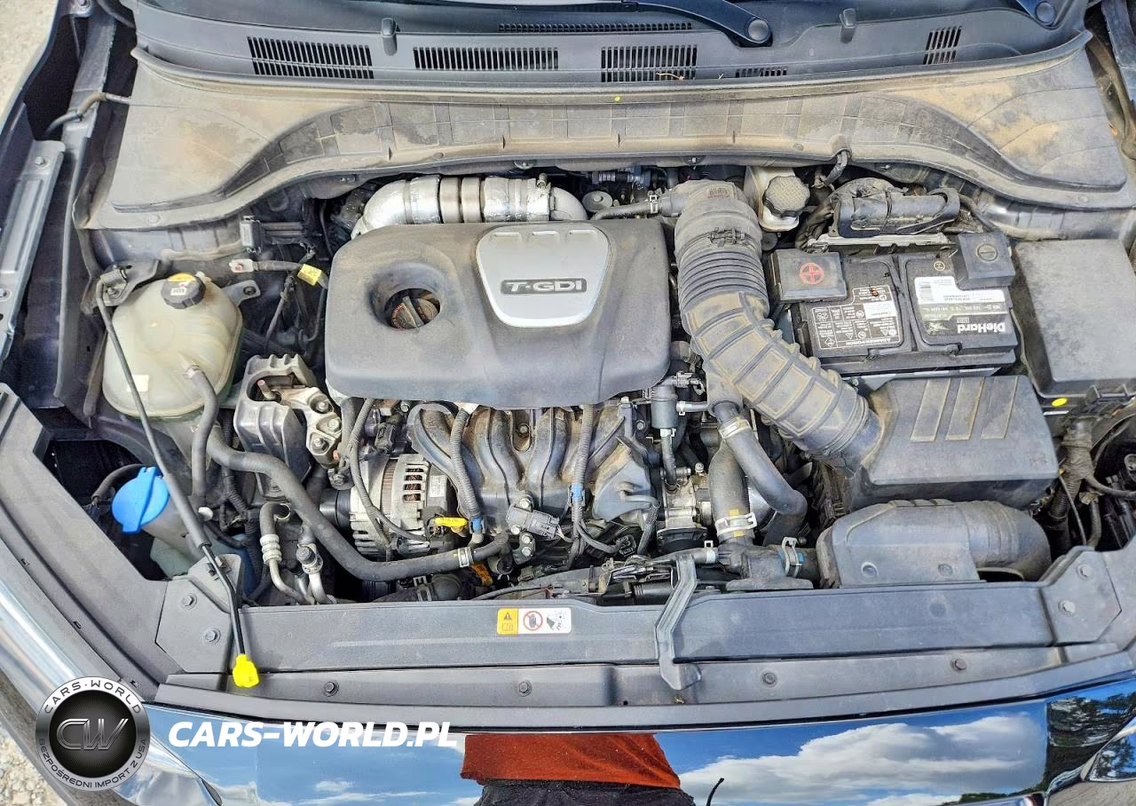 2021 Hyundai Kona Limited VIN:KM8K33A55MU618209 - 12