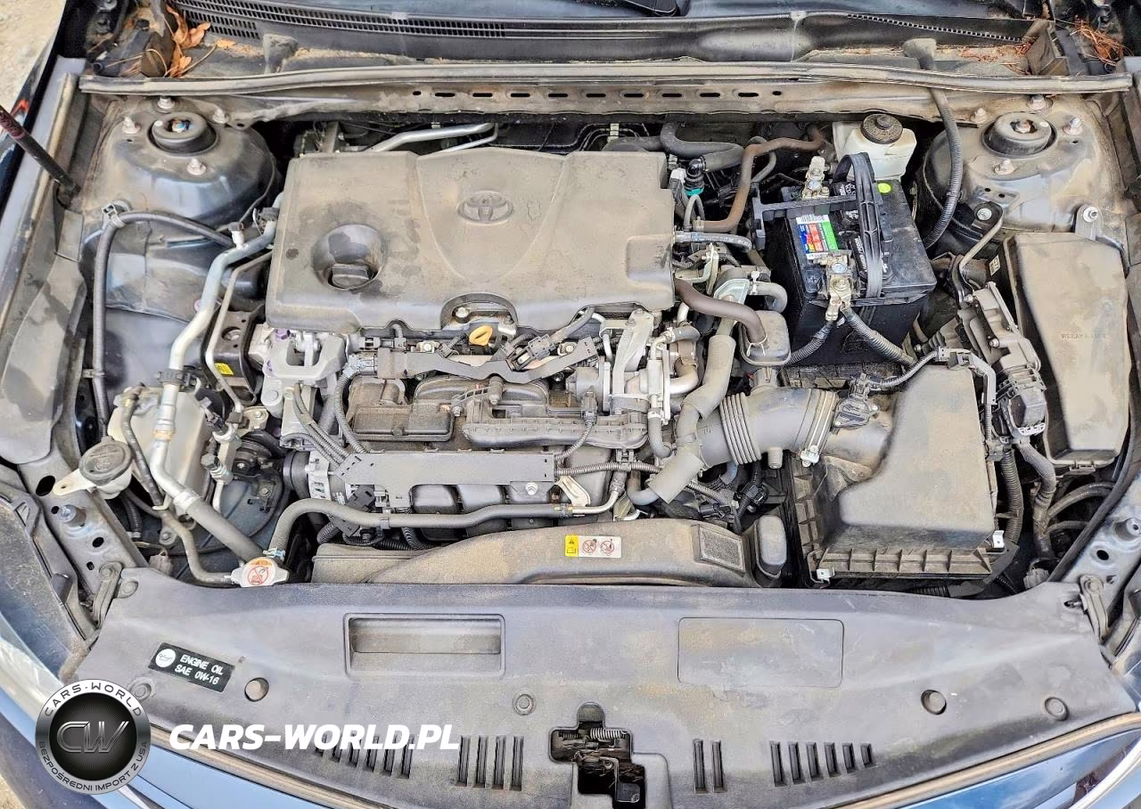2019 Toyota Camry Le VIN:4T1B11HK0KU688042 - 11