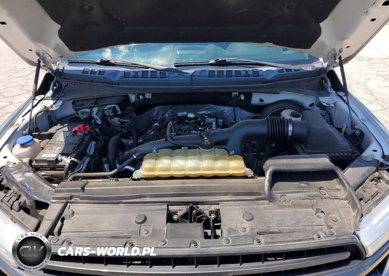 2019 Ford F150 Supercrew VIN:1FTEW1CP2KFB00216 - 11