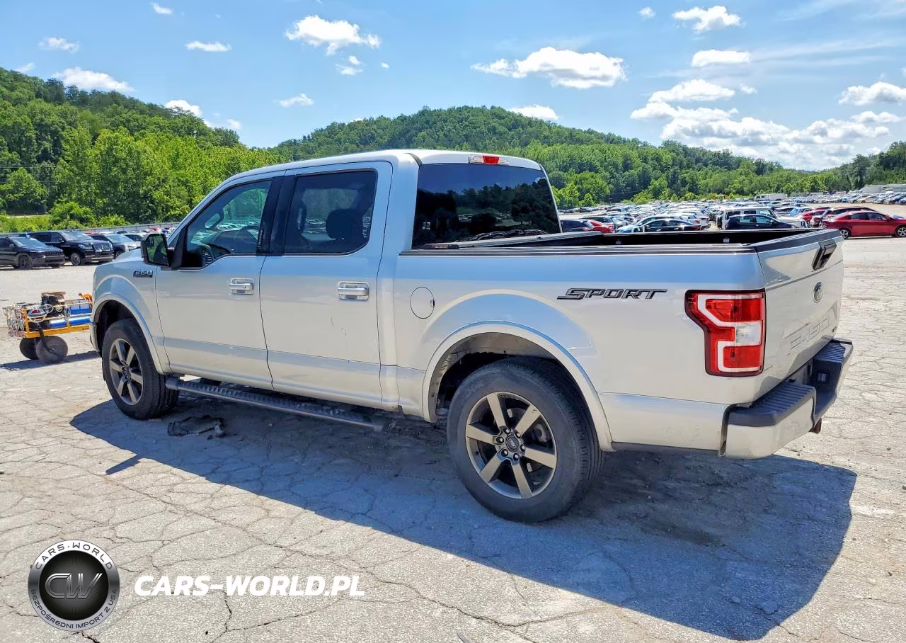 2019 Ford F150 Supercrew VIN:1FTEW1CP2KFB00216 - 2
