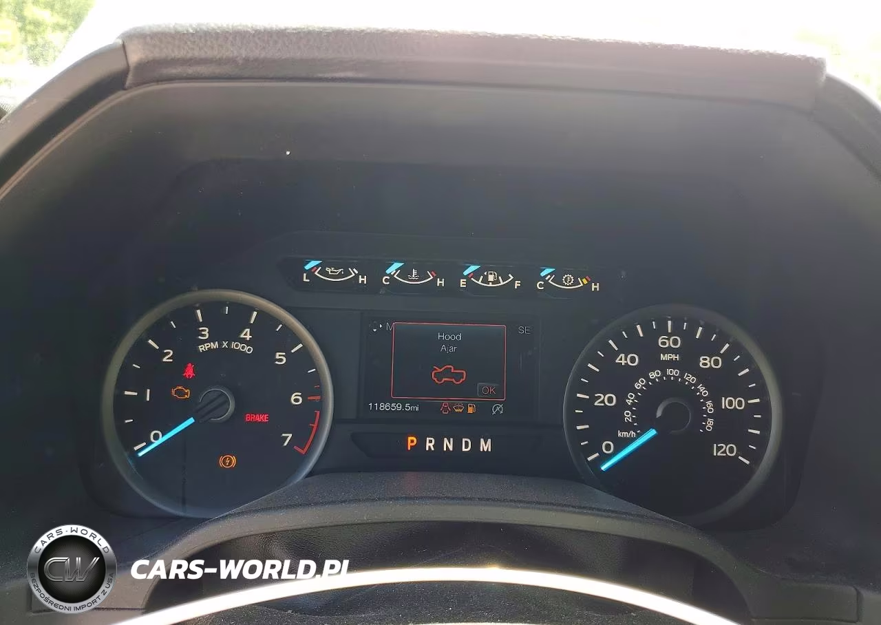2019 Ford F150 Supercrew VIN:1FTEW1CP2KFB00216 - 9