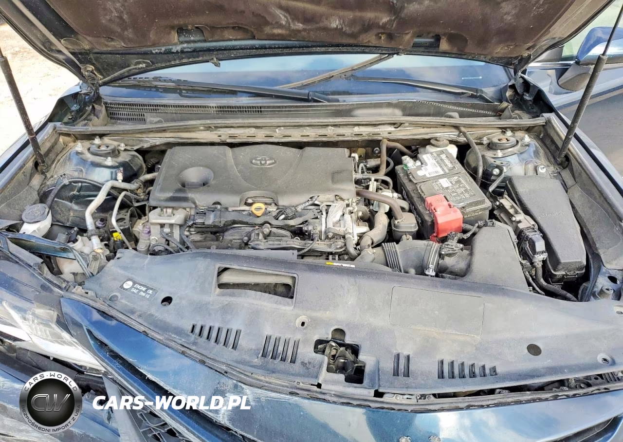 2019 Toyota Camry Se VIN:4T1B11HK3KU751568 - 11
