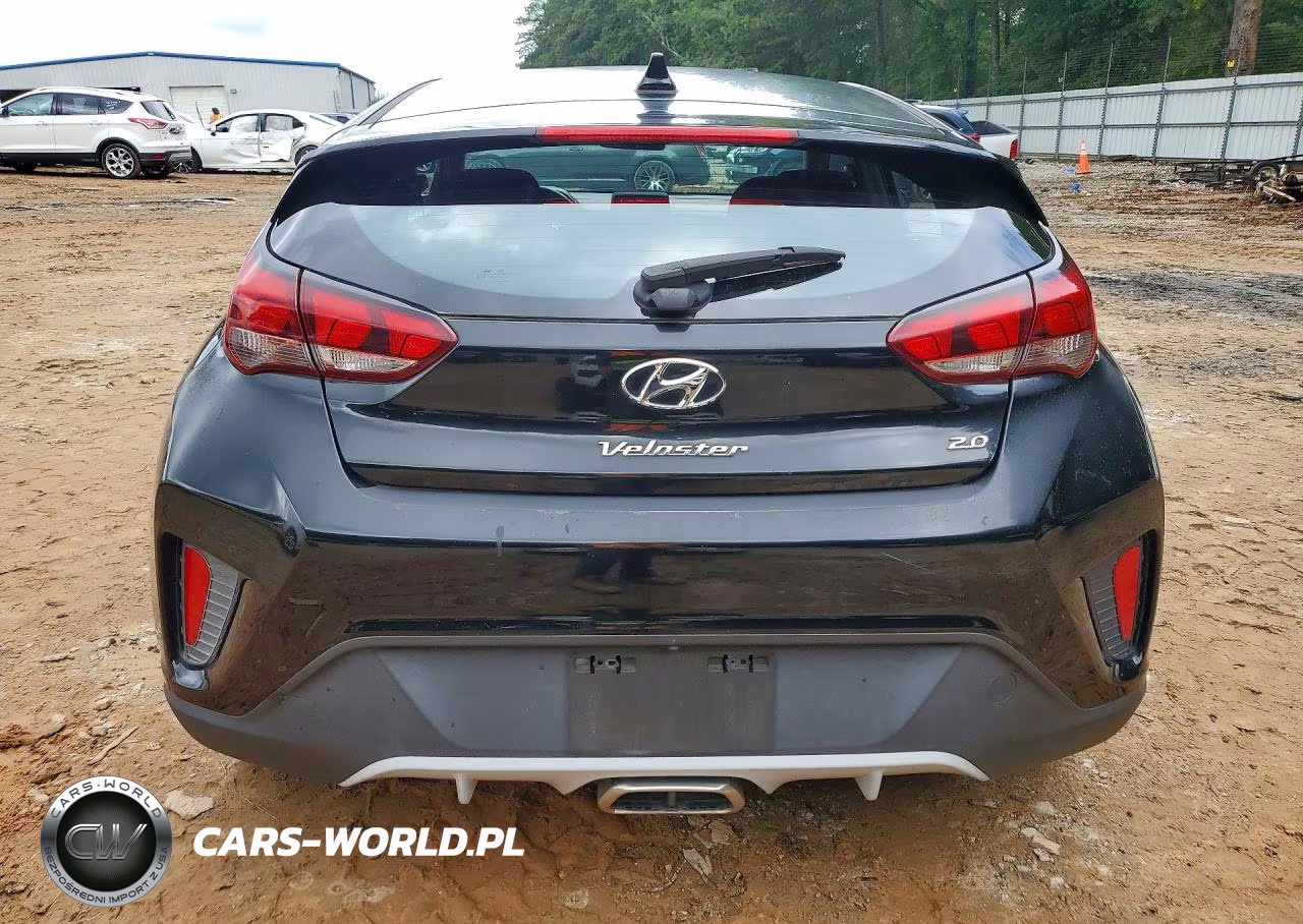2019 Hyundai Veloster 2.0L VIN:KMHTG6AF9KU006224 - 6