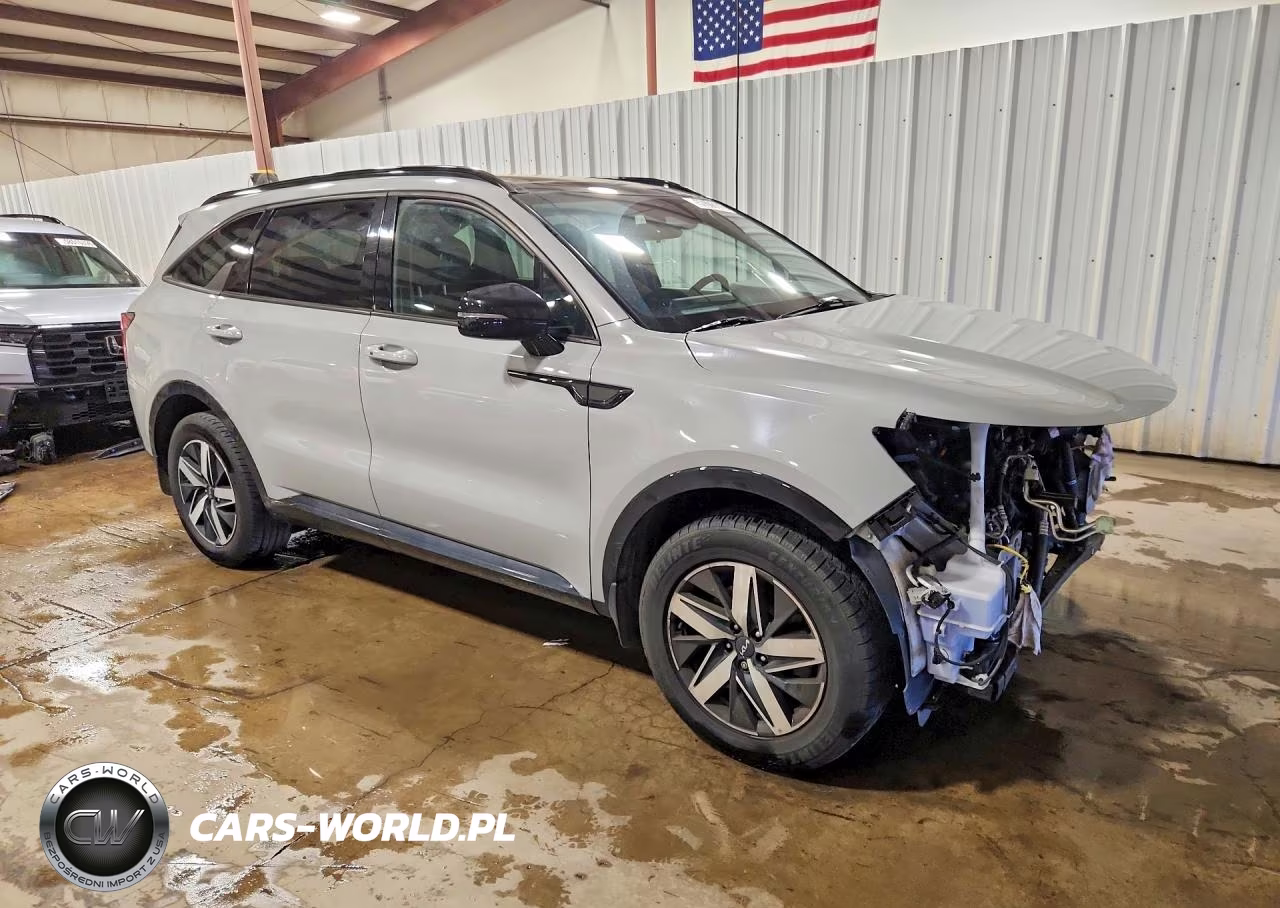 2022 Kia Sorento Ex VIN:5XYRH4LF7NG157338 - 4